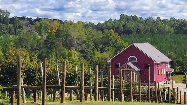 b2add779-19de-4f2b-b20c-cd2da263f7f8