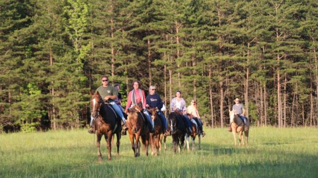 Shangrila Guest Ranch