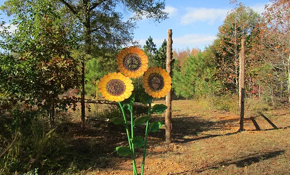 Edmunds Park Southern VA Botanical Gardens