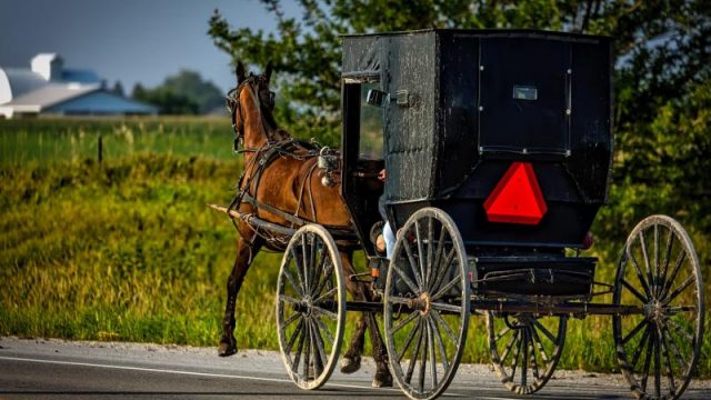 Amish in Halifax County VA