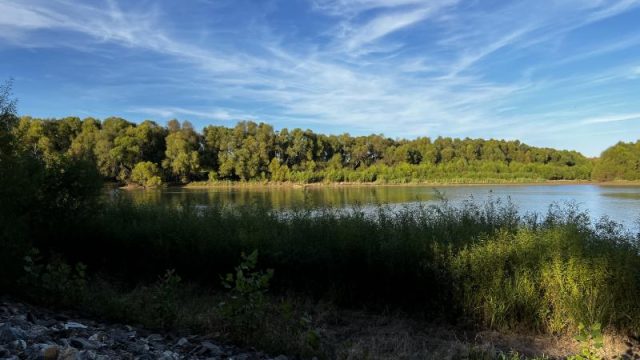 Staunton River State Park