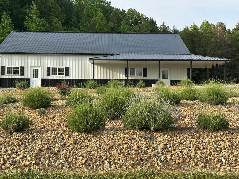 Max Meadows Lavender Farm