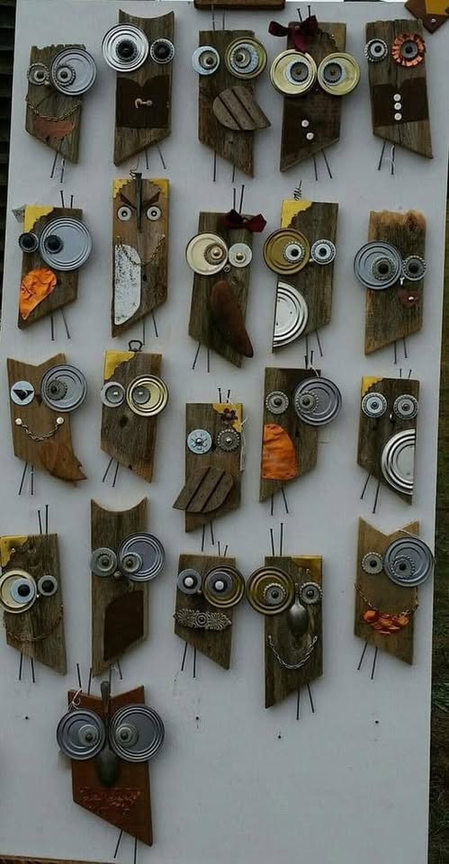 owl