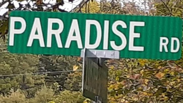 paradise road