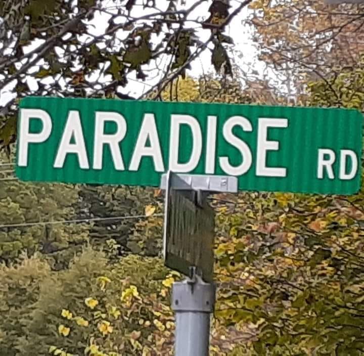 paradise road