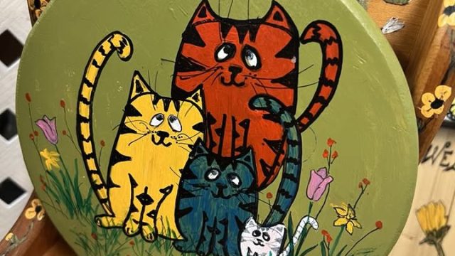 cat