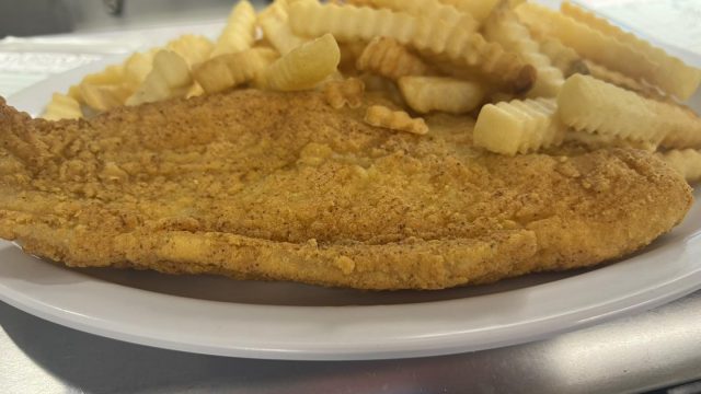 hambone catfish
