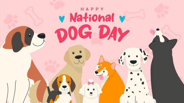 dog day