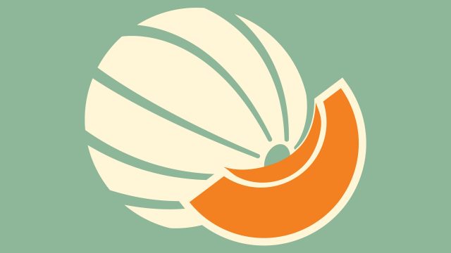 341184386_257616006692055_7344840682790202947_n