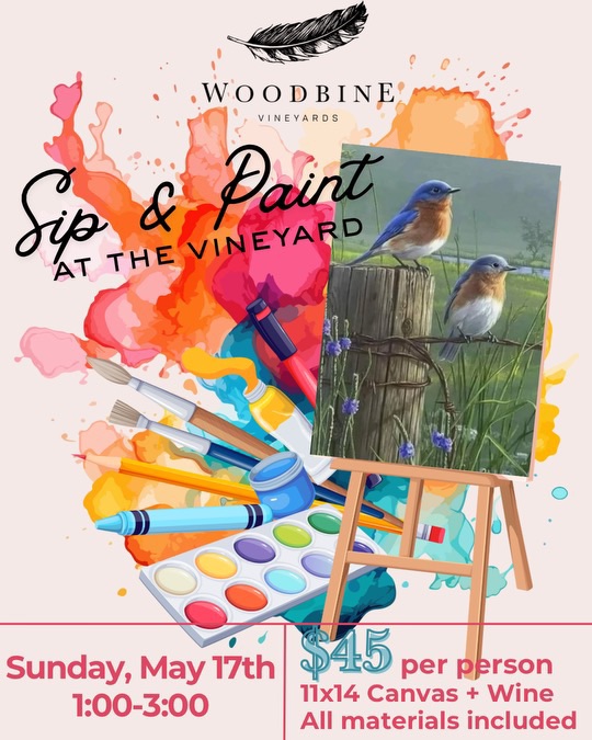 sip & paint