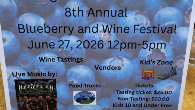 blueberry fest