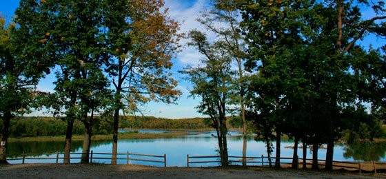 large_65205.199593