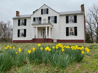 mulberry hill