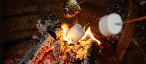 Top Five for Family Fun at Staunton River State Park