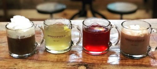 1610051709_springfield-dis-winter_n