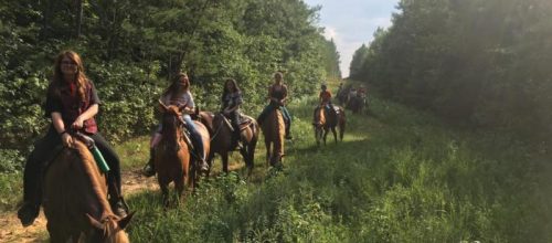 1615048189_horse-riding_n