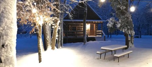 Springfield Cabins in Snow